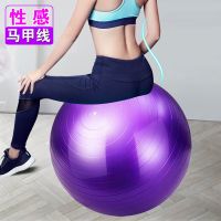 瑜伽球加厚套装初学者防爆球大号磨砂健身球儿童送气筒45/65/75cm