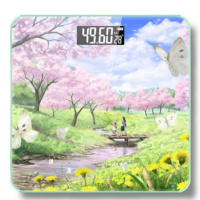 电子称体重秤家用充电人体秤成人精准电子秤减肥秤