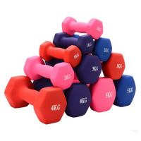 小哑铃女士一对锻炼运动瘦臂减肥儿童小孩家用健身器材1至5kg0.5