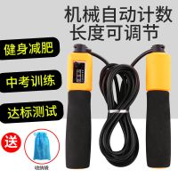 计数跳绳减肥成人健身儿童小学生幼儿园体育考试中考专用钢丝绳子