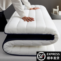 床垫泰国天然乳胶出租房专用经济型席梦思海绵垫家用软垫加厚10cm