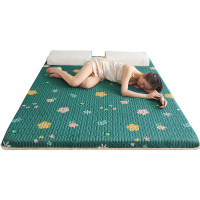 床垫软垫海绵榻榻米垫子宿舍单人褥子学生乳胶硬垫租房专用