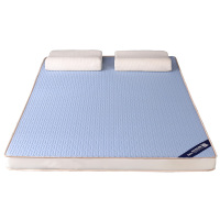 乳胶软垫租房专用加厚床垫单人学生宿舍褥子记忆棉榻榻米海绵垫子