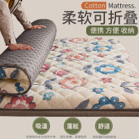 羊羔绒床垫软垫加厚保暖家用榻榻米海绵硬垫学生宿舍单人垫被褥子