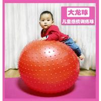 早教颗粒健身球瑜伽大龙球感统儿童大号1米按摩刺球幼儿园巴氏球
