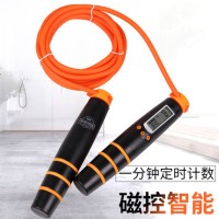 中考专用跳绳专业跳绳学生体育考试电子计数跳绳2019
