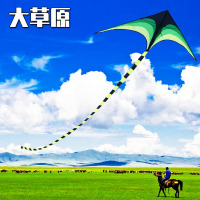2020年新款潍坊风筝儿童微风易飞初学者大型成人专用草原风筝
