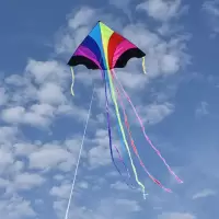 潍坊飞天彩虹风筝 大型成人微风好飞三角风筝 长尾 多彩儿童