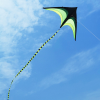 潍坊草原风筝儿童成人超大微风易飞初学者新手新款风筝送线轮