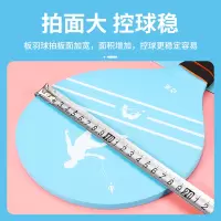 板羽球拍三毛球带拍实木套装成人儿童室内鸡毛球运动|蓝
