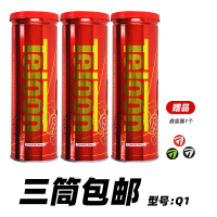 网球pound网球训练球比赛用球初学者练习p4专业4只罐装|Q1[三桶送避震器]