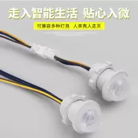 小型一体化 红外人体感应开关模块嵌入式光控延时小功率110v-220v