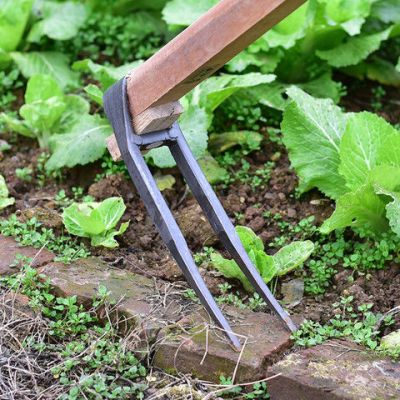 家用全钢长把二齿锄头两用挖土开荒种菜开垦种地农具两齿农用耙子