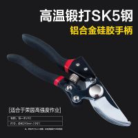 剪枝果树修枝剪刀园艺修剪树枝园林省力修花枝剪家用强力剪葡萄剪|恒一木V10磨砂黑粗枝