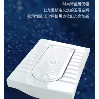 家用陶瓷蹲便器蹲坑式冲水箱套装卫生间蹲便防臭便池大便器