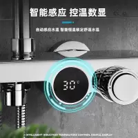 智能数显恒温淋浴花洒套装家用全铜卫浴室淋雨喷头升降增压沐浴器