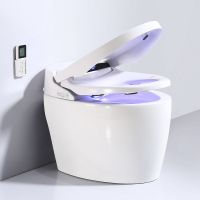 日本高端智能马桶全自动一体坐便器电动遥控清洗家用座便