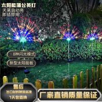 太阳能烟花灯户外防水灯庭院草坪灯 彩灯蒲公英花园装饰灯亮化