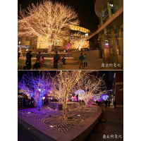 户外灯带满天星闪灯串婚庆室外防水七彩色霓虹装饰闪灯条