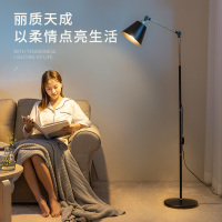 遥控落地灯轻奢设计感创意北欧客厅床头沙发旁边复古床边立式台灯