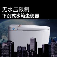 座便器免插电无水箱马桶卫生间下沉式坐便器