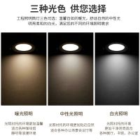 筒灯led嵌入式天花射灯孔灯超薄洞灯面板灯2.5寸3w4寸6寸工程筒灯