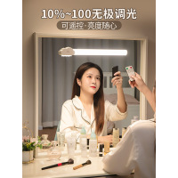 LED镜前灯带充电化妆梳妆台灯补光镜子厕所浴室卫生间照明免打孔