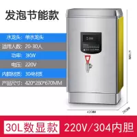 开水器商用电热开水机大容量奶茶店烧水器工厂全自动开水炉|30L数显发泡款-220V(送过滤器) 210L