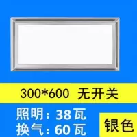 集成吊顶照明二合一 排气扇带灯厨房卫生间带led灯换气扇排风扇|升级款(不带开关)银色30x60