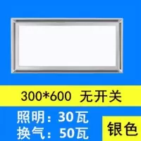 集成吊顶照明二合一 排气扇带灯厨房卫生间带led灯换气扇排风扇|普通款(不带开关)银色30x60