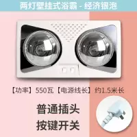 灯暖浴霸壁挂式洗澡间取暖灯泡卫生间老式挂墙壁两灯烤灯洗澡家用|两灯挂墙经济银泡 免打孔款