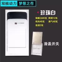 浴霸灯卫生间嵌入集成吊顶厕所取暖风300x600浴霸风暖五合一|手机款白色按键开关