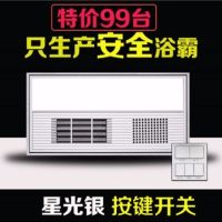 浴霸灯卫生间嵌入集成吊顶厕所取暖风300x600浴霸风暖五合一|实用款