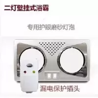 壁挂式浴霸二灯两灯风暖挂墙挂壁式浴霸灯卫生间取暖灯防水防爆|两灯磨砂灯泡+漏电保护插头 打孔