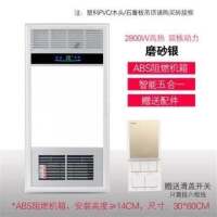殴普浴霸风暖集成吊顶嵌入式多功能五合一30*60卫生间暖风机|银 双核滑盖开关接6根线
