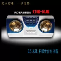 防水浴霸壁挂式浴室挂墙式浴霸灯卫生间取暖灯暖风厕所挂壁式浴霸|两灯暖风挂式护眼黄取暖泡 2米电源线漏电保护+遥控触屏开关