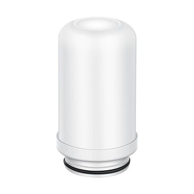龙头净水器jyw-t0213t05家用活性炭厨房自来水净水机专用滤芯|陶瓷滤芯2支