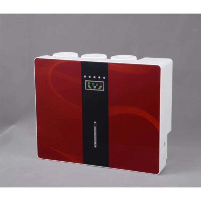 微废水100g反渗透净水机家用净水器苹果直饮5级过滤纯水机除水垢|100G单水中国红微废水