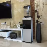 立式饮水机制冷制热冰温热带童锁净水桶家用过滤桶自来水过滤直饮|黑银色+038#黑色方桶温热型一套