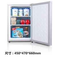 70/120升全冷冻冰箱单门小型冷冻柜立式母乳茶叶冷冻箱家用小冰箱|全冷冻90型