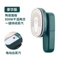 手持挂烫机小型蒸汽熨斗家用烫衣服神器宿舍学生便携式熨烫机|[冬青绿干湿双烫款]