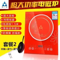 3000w大功率电磁炉多功能炒菜火锅家用商用智能平面语音电磁炉|B5款+炒锅+汤勺+漏勺套餐二