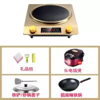 新款特价3500w凹面电磁炉家用大功率商用节能炒菜3000w电池炉凹型|金色3500W精铁锅+饭煲