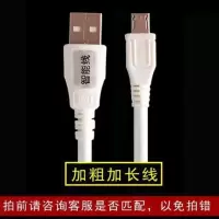 添色便携式榨汁机充电器线ts-z01水果小型电动榨汁杯配件电源线长|扁口-加粗充电线