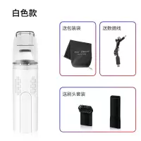 车载吸尘器无线充电家车两用强力大功率汽车用内专用小型迷你|[白色]车家两用4800pa超大吸力