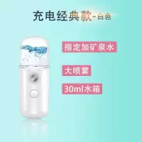 美容蒸脸仪usb充电款便携式纳米喷雾加湿器冷喷手持补水仪|迷你款白色