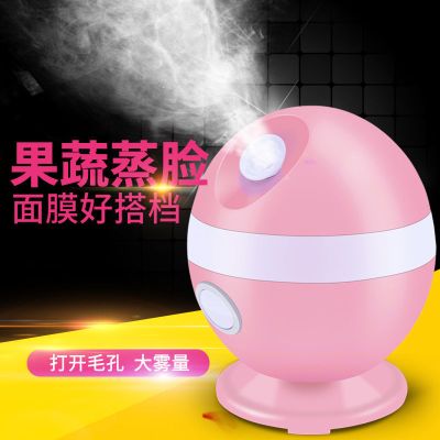 热喷果蔬蒸脸器面部加湿器美容仪器补水仪器|蒸脸器热喷送2包除垢剂