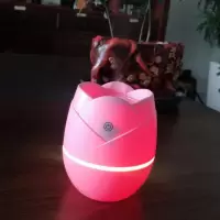 usb香薰加湿器带灯小夜灯简约网红家用大雾量静音无线便携加湿|旗舰版[静音定时+七彩氛围灯]粉色 配[数据线+1根棉棒]