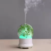 永生花空气加湿器家用静音迷你大容量卧室办公空调孕妇婴儿香薰机|满天星绿色+精油