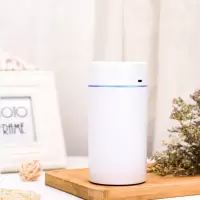 可充电加湿器家用静音空调房办公室车载喷雾器大雾学生宿舍香薰机|气质白(充电款) 加湿器+5棉棒+小风扇